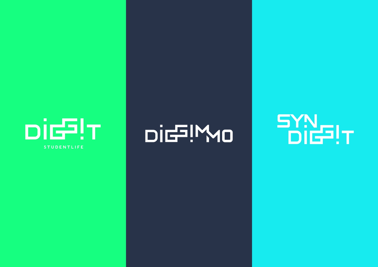 Diggit flag