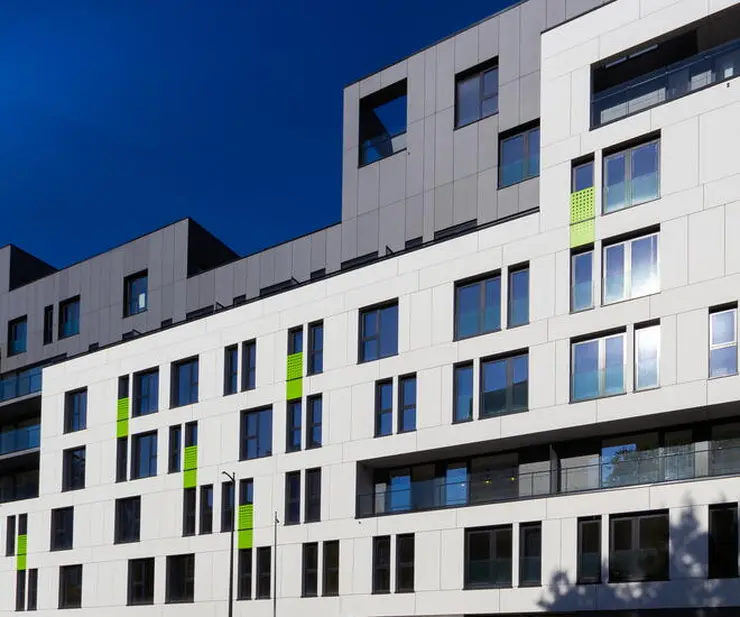 Kot vinden in Vlaanderen - Brussel