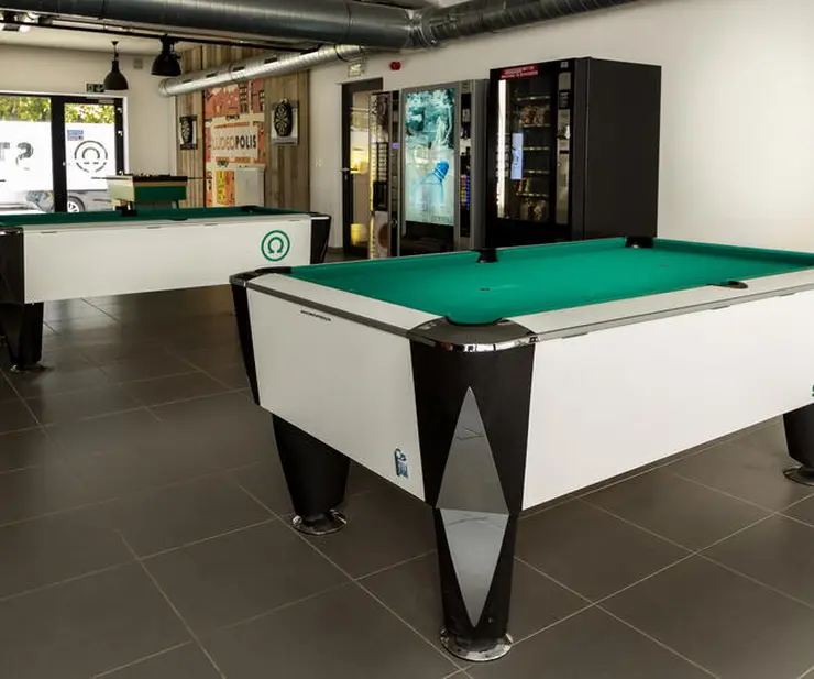 Kot vinden in Vlaanderen