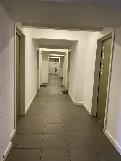 K-Building studentenkamers Antwerpen