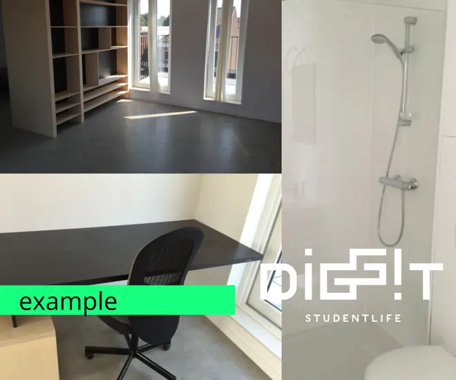 Room Student Site Preview